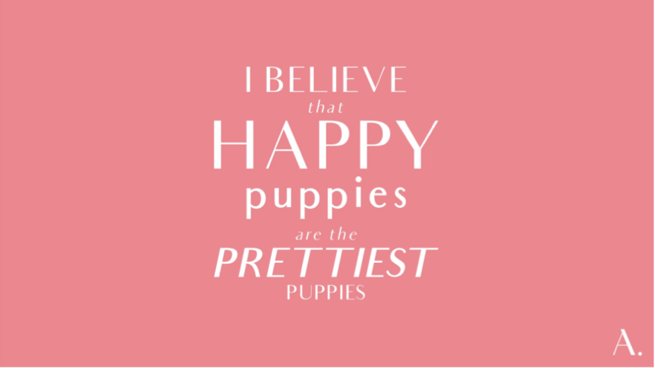 I believe that happy puppies are the prettiest puppies