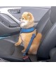 Pas samochodowy dla Psa SIMPLE DOG