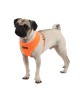 Szelki dla Psa Puppia Neon Soft Harness A Orange