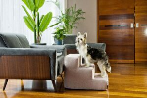 Schody dla psa - Amibelle Atlanta XL 30cm różowe