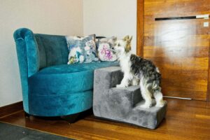 Schody dla psa - Amibelle Atlanta XL 30cm szare