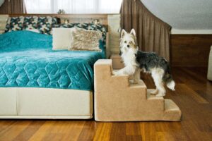 Schody dla psa - Amibelle Atlanta 50cm beżowe