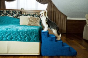 Schody dla psa - Amibelle Atlanta 50cm granatowe