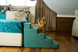 Schody dla psa - Amibelle Atlanta 50cm zielone