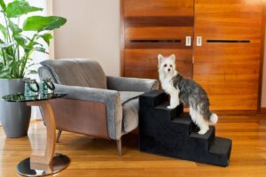 Schody dla psa - Amibelle Atlanta 50cm czarne