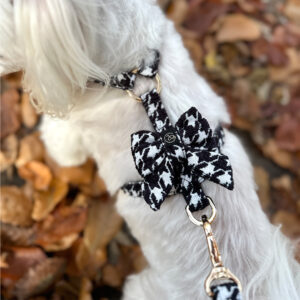 Szelki Guard Ambrée